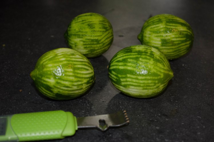 tequila lime cake (1 of 5)