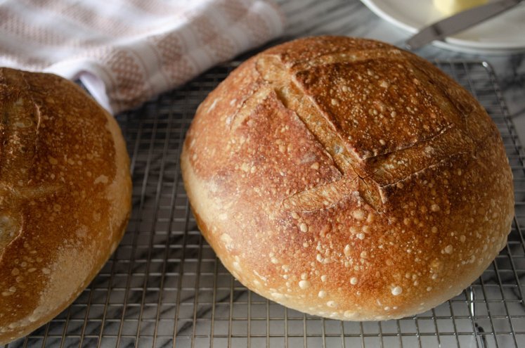 sourdough2
